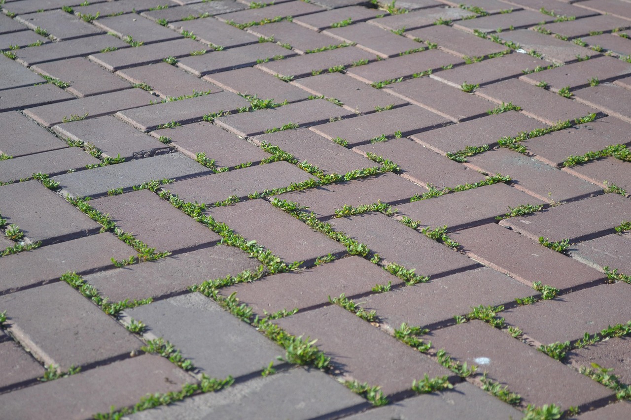 tile, pavement, road, city, tile, tile, tile, tile, tile, pavement, road, city